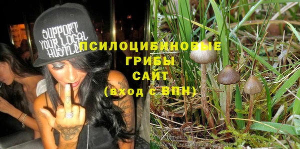 эйфоретик Алзамай