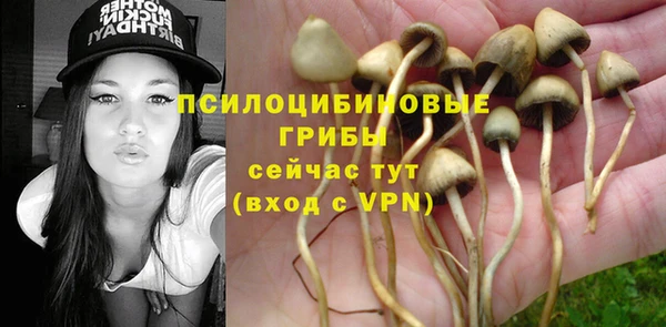 Альфа ПВП Алексин