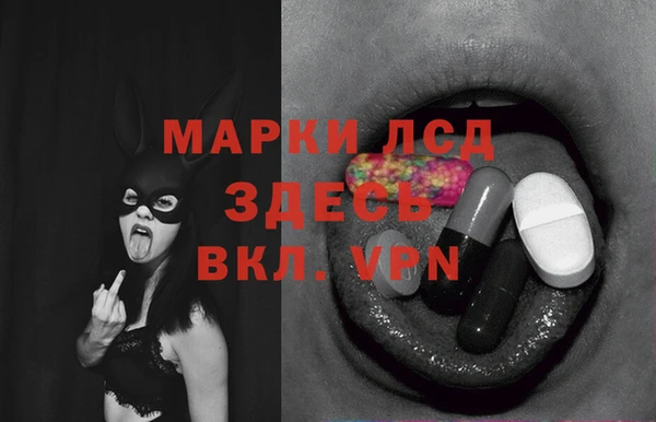 эйфоретик Алзамай