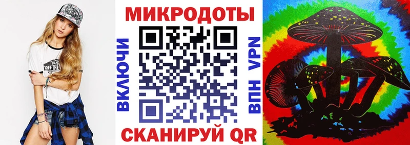 Галлюциногенные грибы мицелий  Купить где  Сокол 
